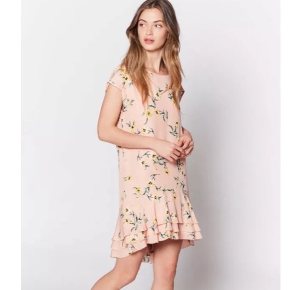 Whimsical blush pink floral Joie silk dress